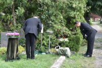 das zu löschende Bild