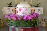 ein Bild aus dem Album