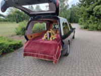 ein Bild aus dem Album