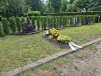 das zu meldende Bild