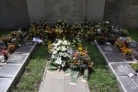 das zu drehende Bild