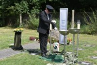 das zu meldende Bild