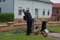 das zu meldende Bild