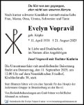 eine Anzeige