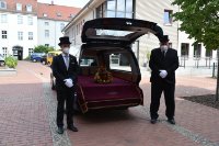 das zu meldende Bild