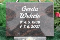 das zu meldende Bild