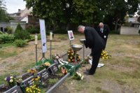 das zu meldende Bild