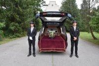 das zu meldende Bild