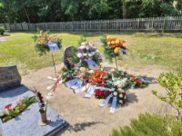 das zu meldende Bild