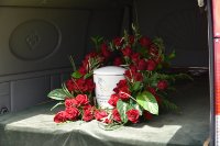 das zu meldende Bild