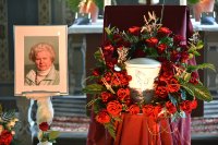 das zu meldende Bild