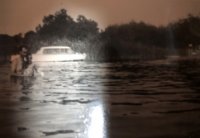 das zu meldende Bild