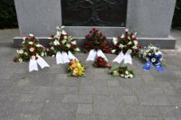 das zu löschende Bild