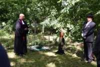 ein Bild aus dem Album