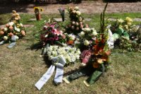 ein Bild aus dem Album