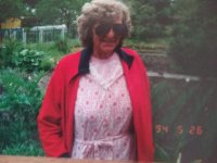 das zu meldende Bild