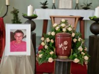 das zu meldende Bild