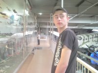 ein Bild aus dem Album