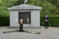 das zu meldende Bild