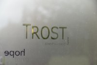 das zu meldende Bild