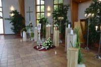 das zu meldende Bild