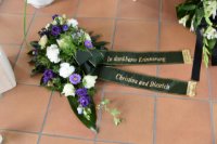 das zu meldende Bild