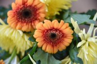 das zu löschende Bild