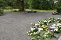 das zu meldende Bild