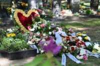 das zu löschende Bild