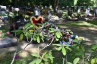 ein Bild aus dem Album