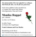 eine Anzeige
