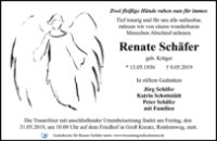 eine Anzeige