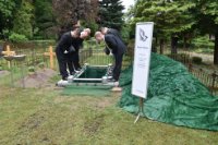 das zu löschende Bild