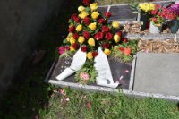 ein Bild aus dem Album