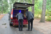 das zu meldende Bild