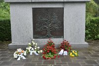 das zu meldende Bild